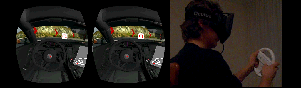Oculus Rift Racing